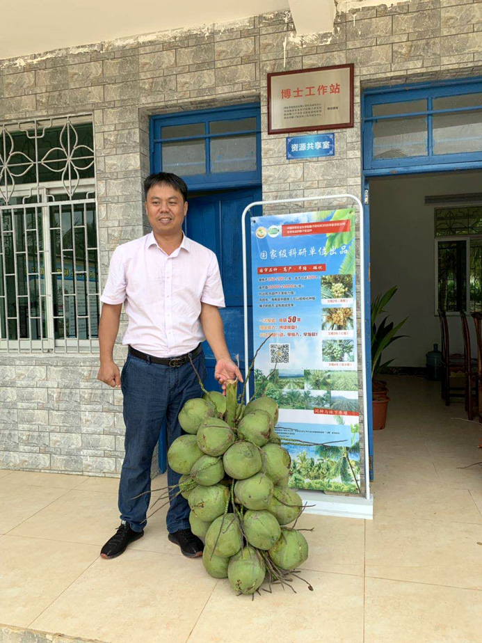 矮化椰子新品种-2.jpg